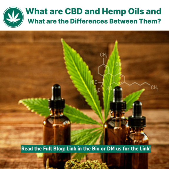 Learn the key differences between hemp and CBD oil and how they are used in various products. Make more informed decisions when it comes to buying products.
