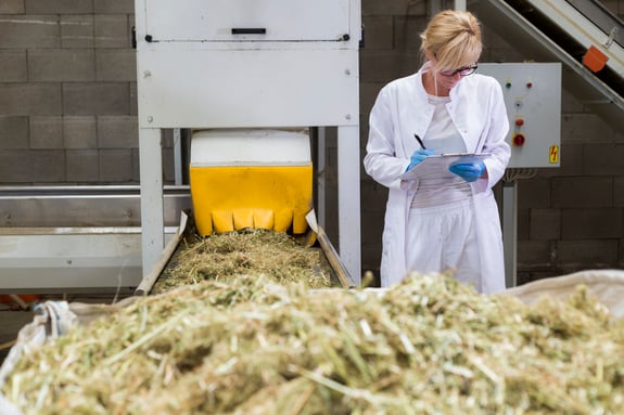 Cannabis Industry Success Expected for 2024