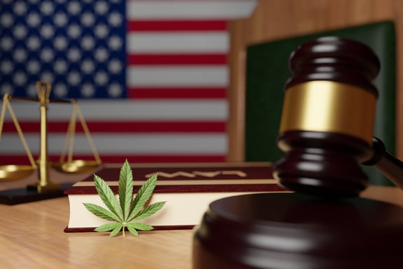 Why Hasn’t the Entire United States Legalized Cannabis?