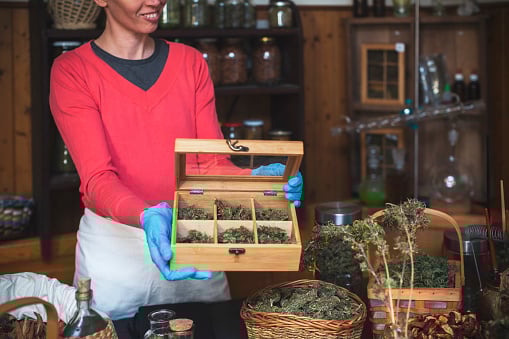 What Does a Cannabis Business Investor Do?