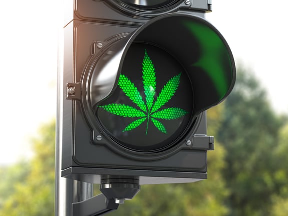 U.S. States that Have Legalized Cannabis and Their Regulations