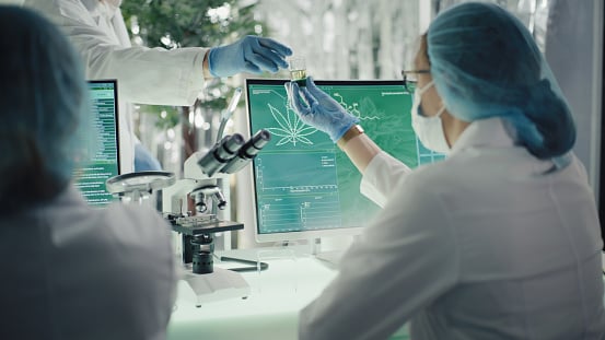 Cannabis Industry Jobs to Explore - Online Cannabis Learning