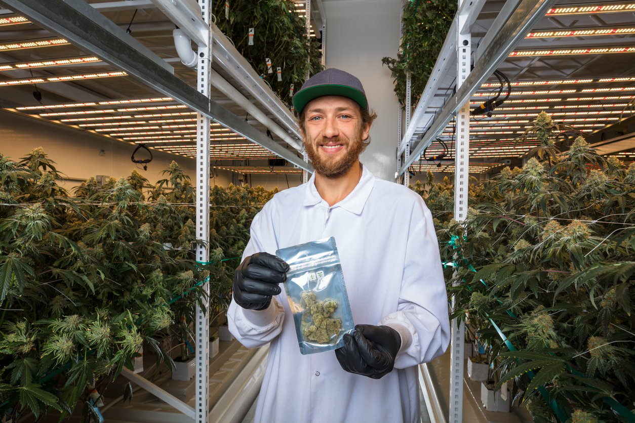 Smiling Man in Industrial Cannabis Growing Room Holding Bag of Packaged Product Ready for Sale