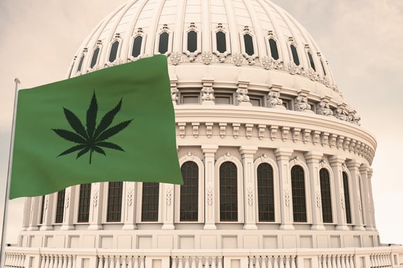 A Guide Through the History of Cannabis