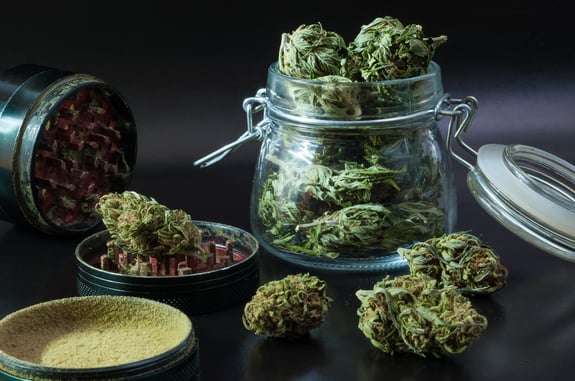 Overview of Indica and Sativa and their basic differences  